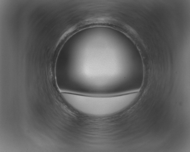 X0000081451218200701121006