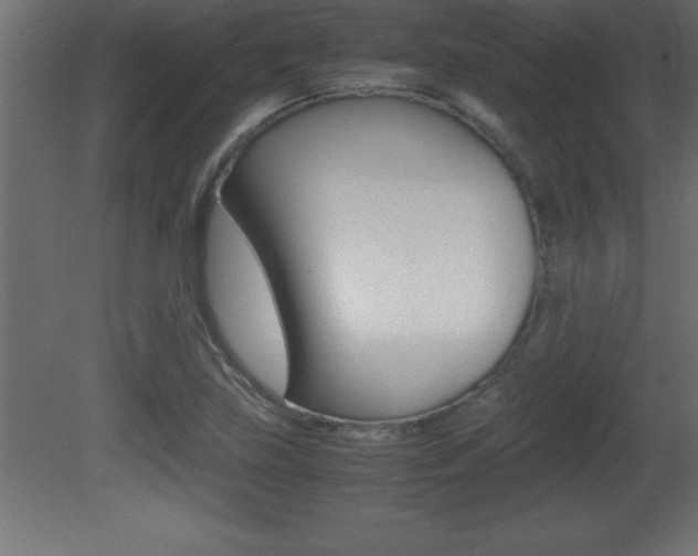 X0000081451219200701121006