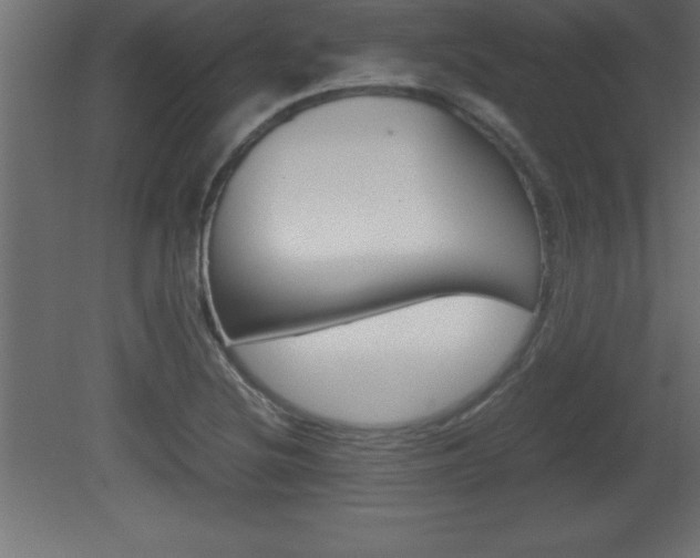 X0000081451220200701121006