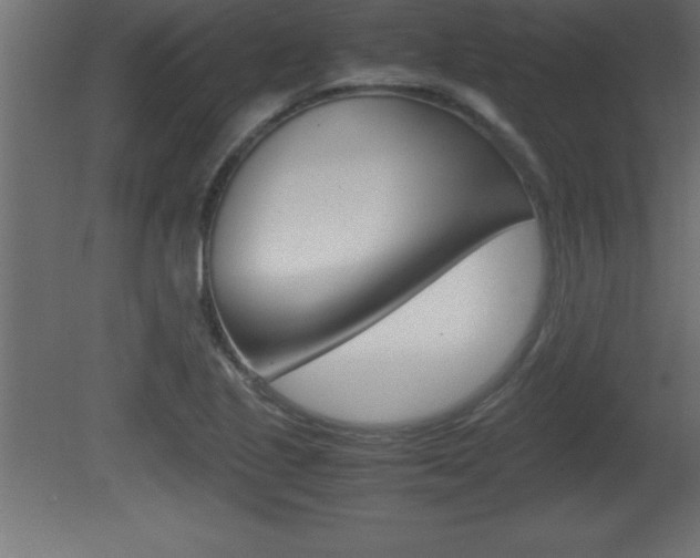 X0000081451221200701121006