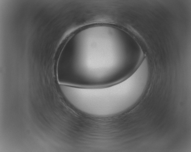 X0000081451222200701121006