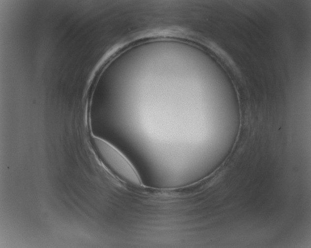 X0000081451224200701121006