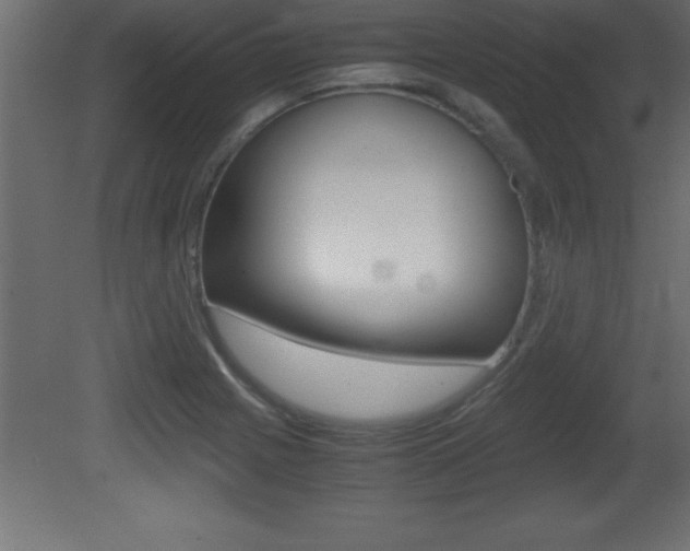X0000081451225200701121006