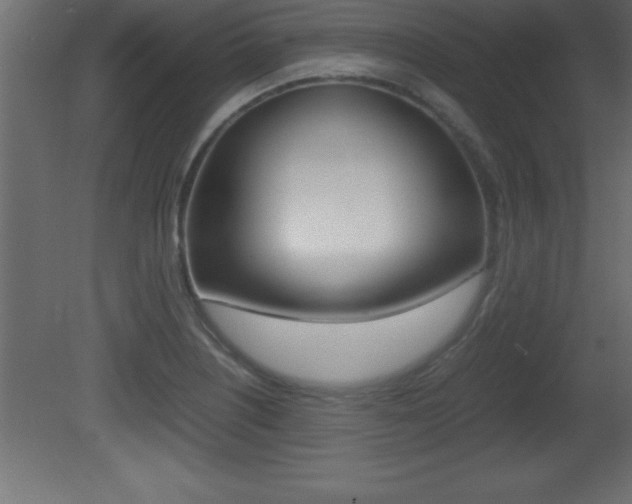 X0000081451226200701121006