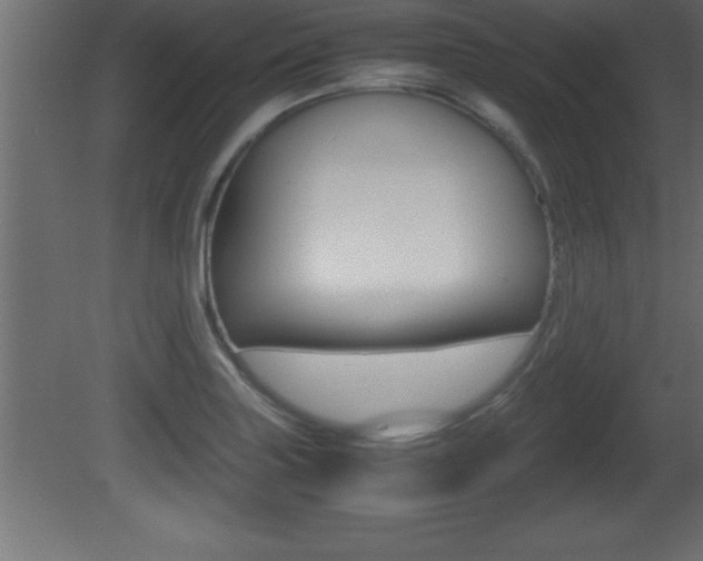 X0000081451227200701121006