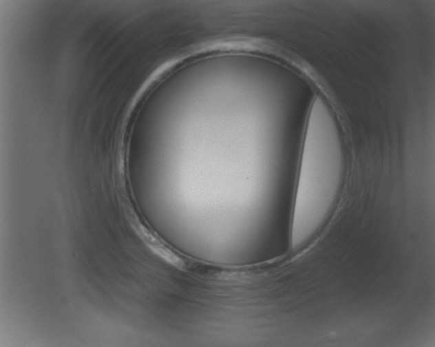 X0000081451232200701121006