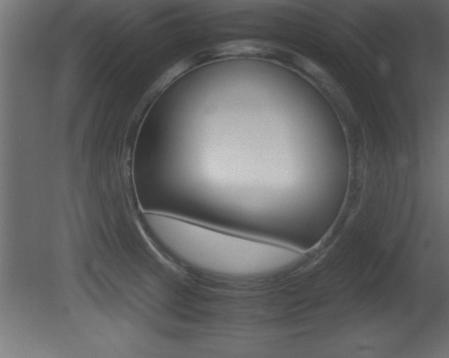 X0000081451233200701121006