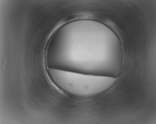 X0000081451235200701121006