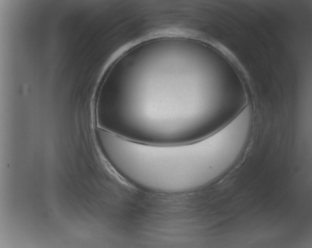 X0000081451238200701121006