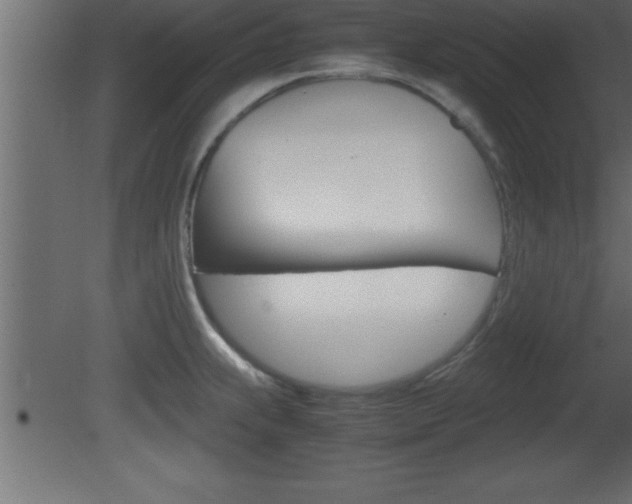 X0000081451239200701121006