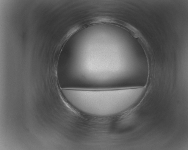 X0000081451241200701121006
