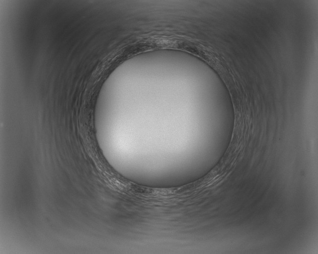 X0000081451249200701121006