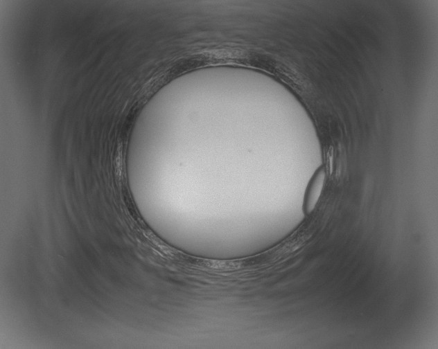 X0000081451251200701121006