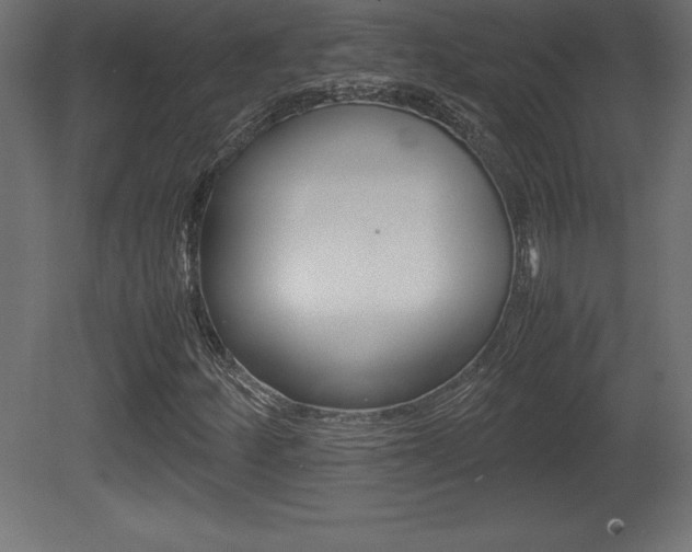 X0000081451252200701121006