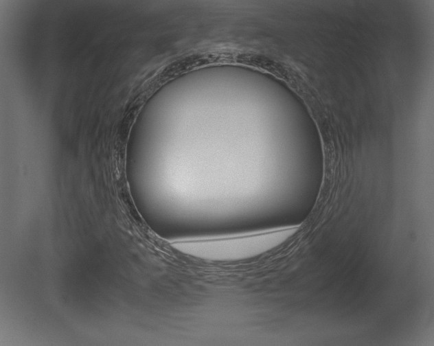 X0000081451253200701121006