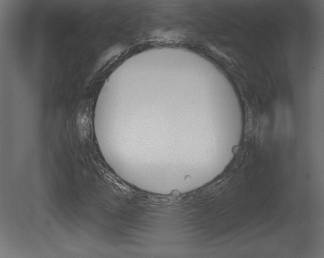 X0000081451254200701121006