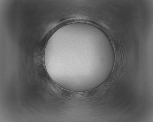 X0000081451255200701121005