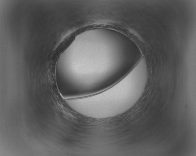 X0000081451256200701121005
