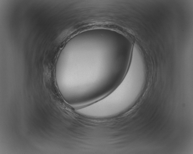 X0000081451257200701121005