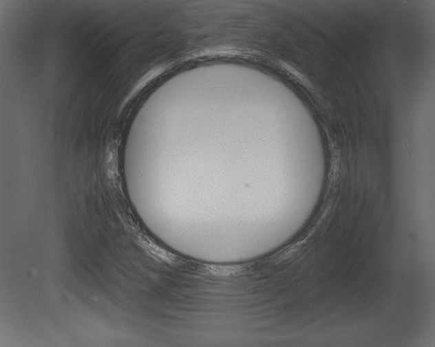 X0000081451258200701121005