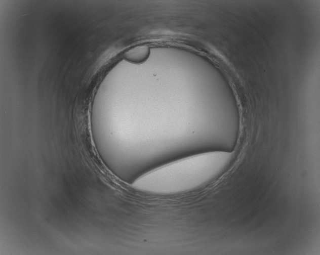 X0000081451259200701121005