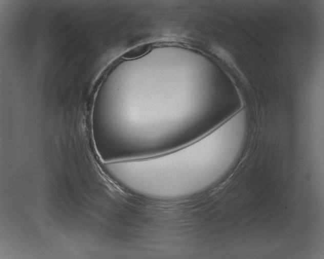X0000081451260200701121005