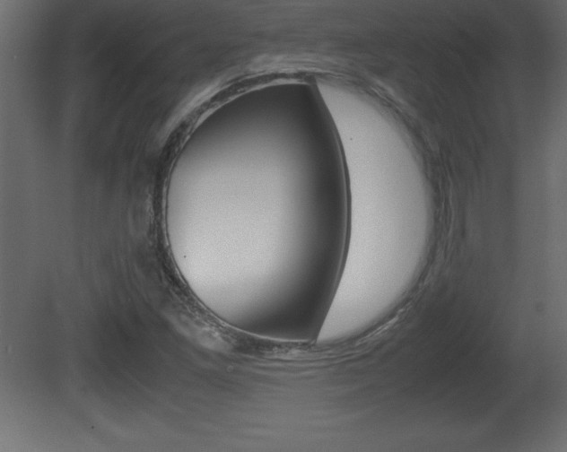 X0000081451261200701121005