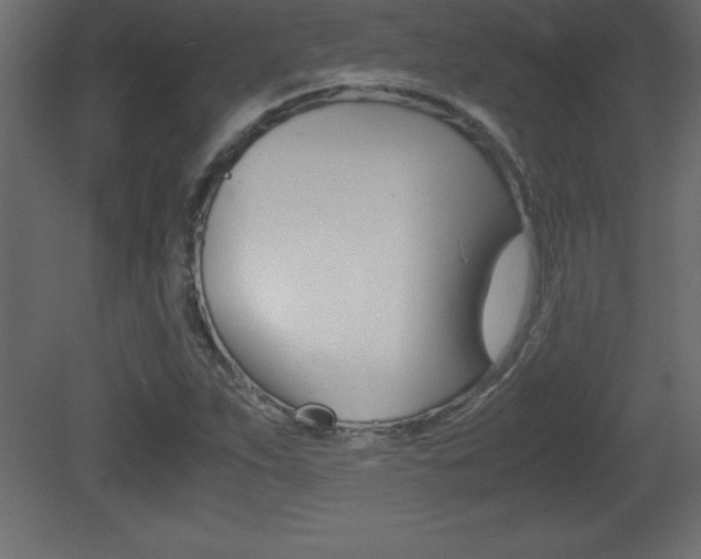 X0000081451263200701121005