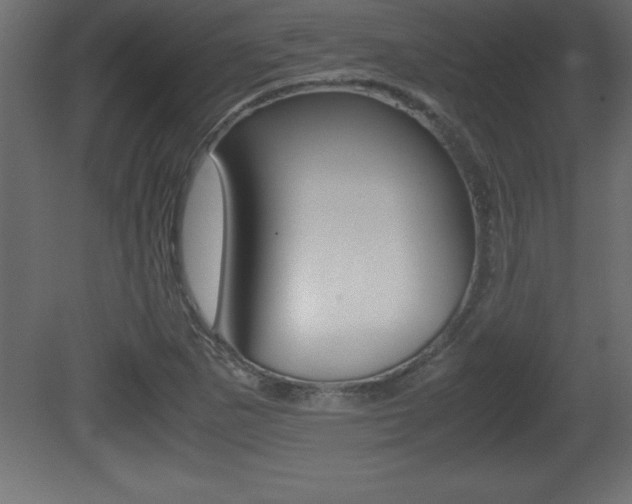 X0000081451265200701121005