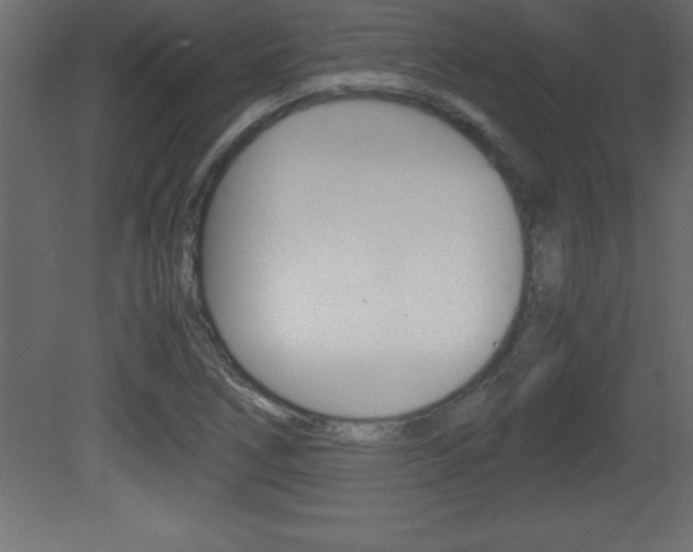 X0000081451266200701121005
