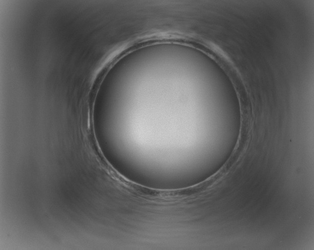 X0000081451269200701121005
