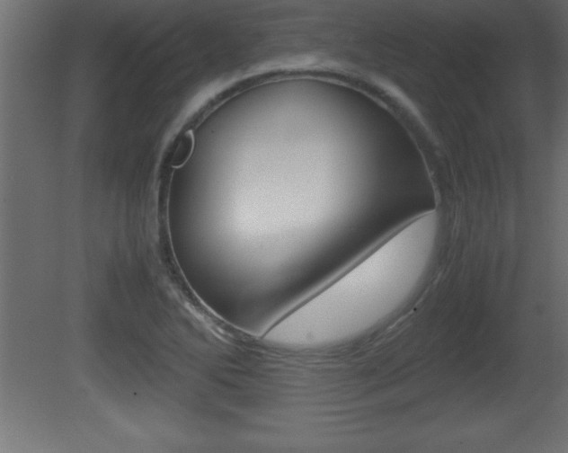 X0000081451270200701121005