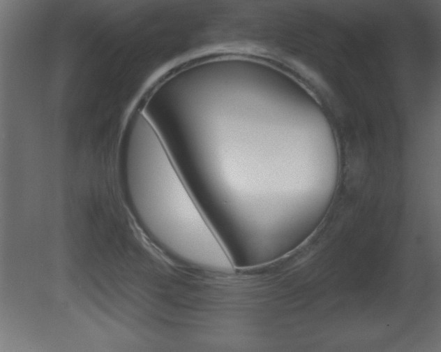 X0000081451272200701121005