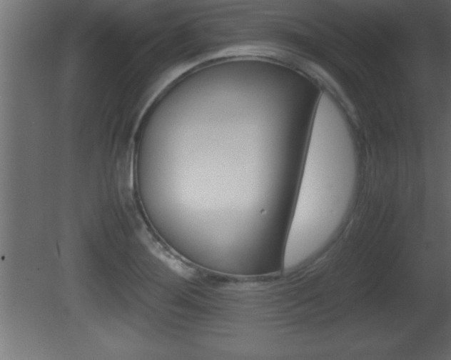 X0000081451276200701121005