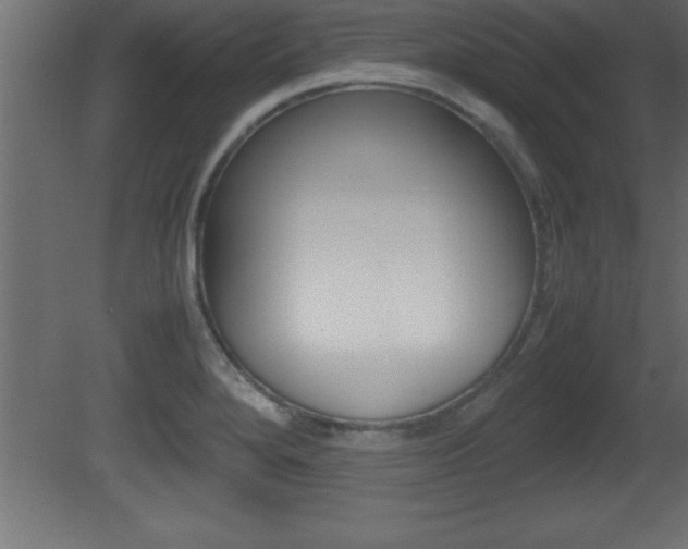 X0000081451280200701121005