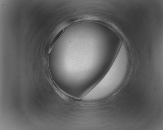 X0000081451281200701121005