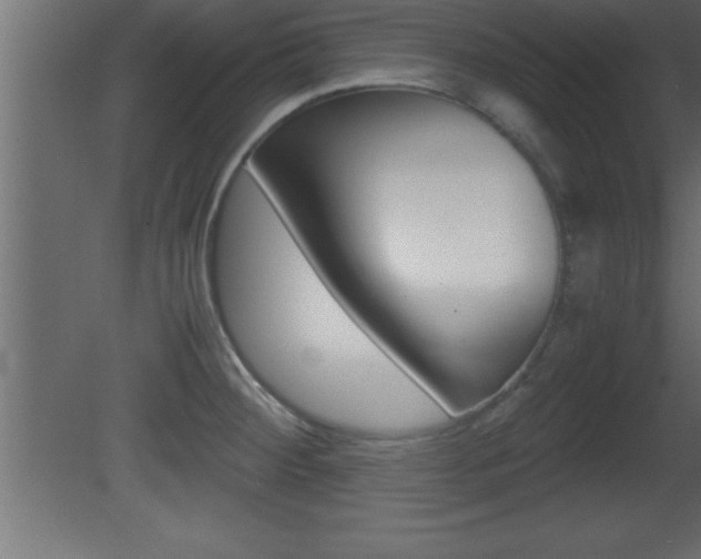 X0000081451284200701121005