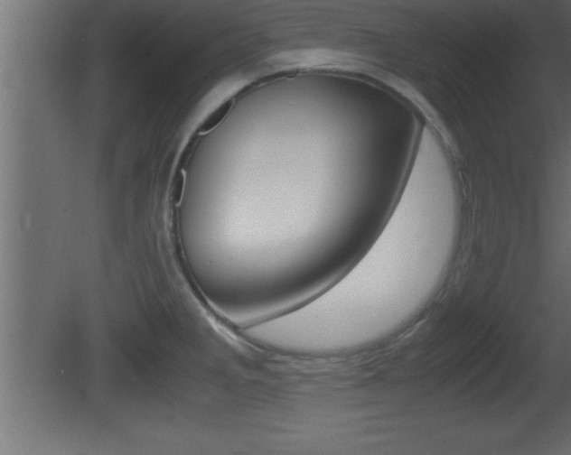 X0000081451285200701121005