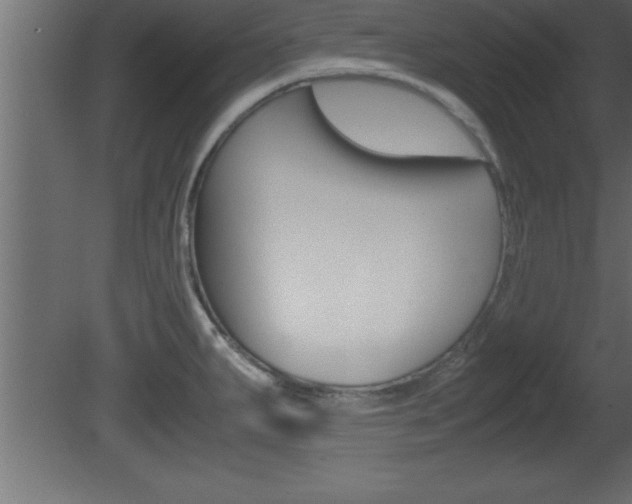 X0000081451287200701121005