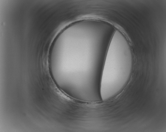 X0000081451288200701121005