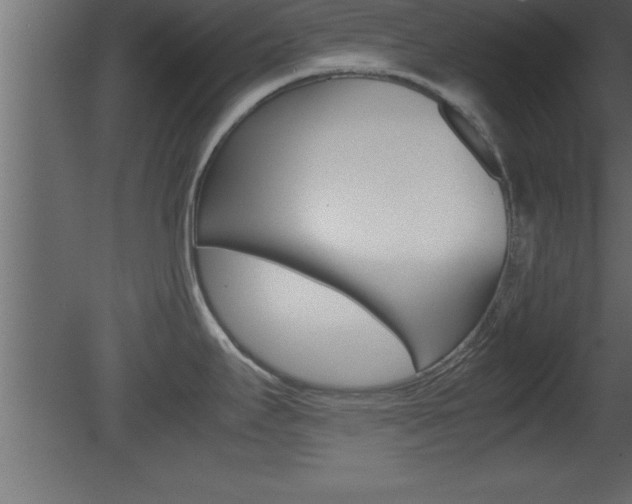 X0000081451295200701121005