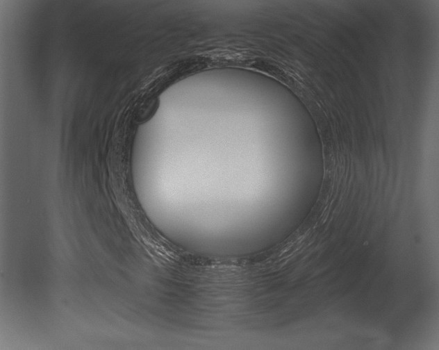 X0000081451297200701121004