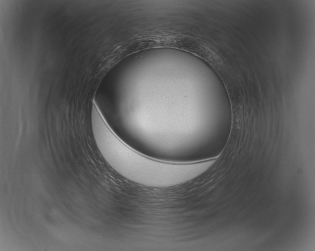 X0000081451298200701121004