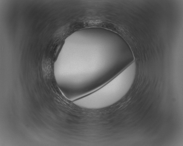 X0000081451299200701121004