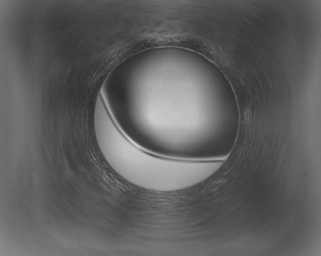 X0000081451300200701121004
