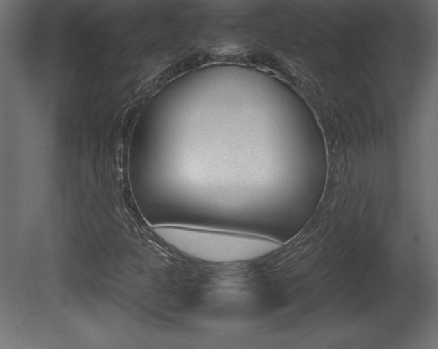 X0000081451301200701121004