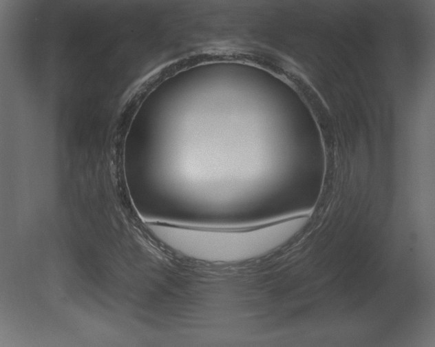 X0000081451304200701121004