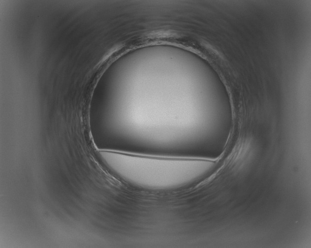 X0000081451305200701121004