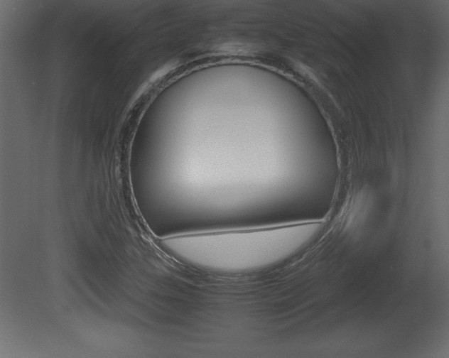 X0000081451307200701121004