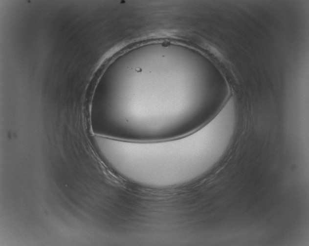 X0000081451308200701121004